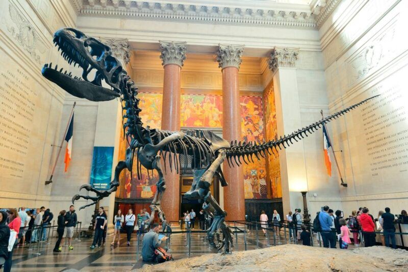 American Museum Natural History3